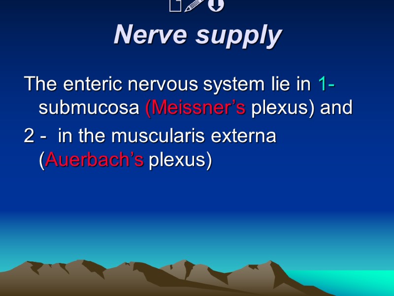   Nerve supply  The enteric nervous system lie in 1- submucosa (Meissner’s